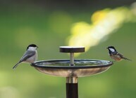 星野リゾートのプレスリリース画像1