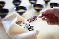 星野リゾートのプレスリリース画像5