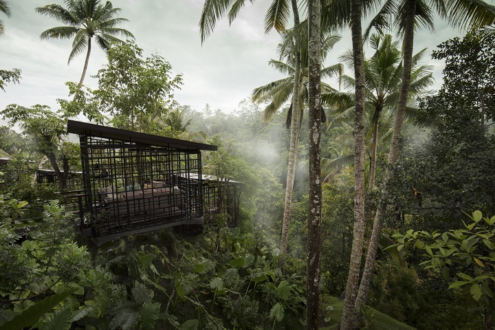 星野リゾートのプレスリリース画像5