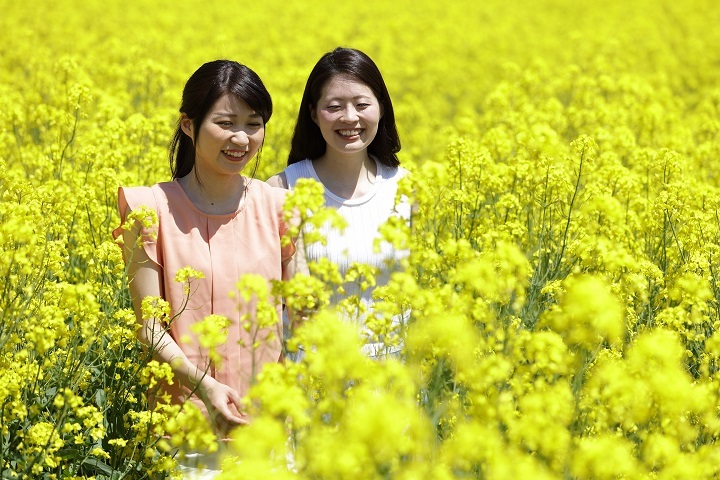 星野リゾートのプレスリリース画像2