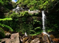 星野リゾートのプレスリリース画像4