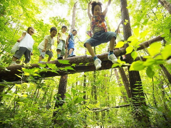 星野リゾートのプレスリリース画像1