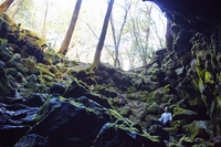 星野リゾートのプレスリリース画像6