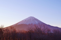 星野リゾートのプレスリリース画像1