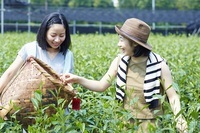 星野リゾートのプレスリリース画像5