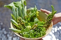 星野リゾートのプレスリリース画像3