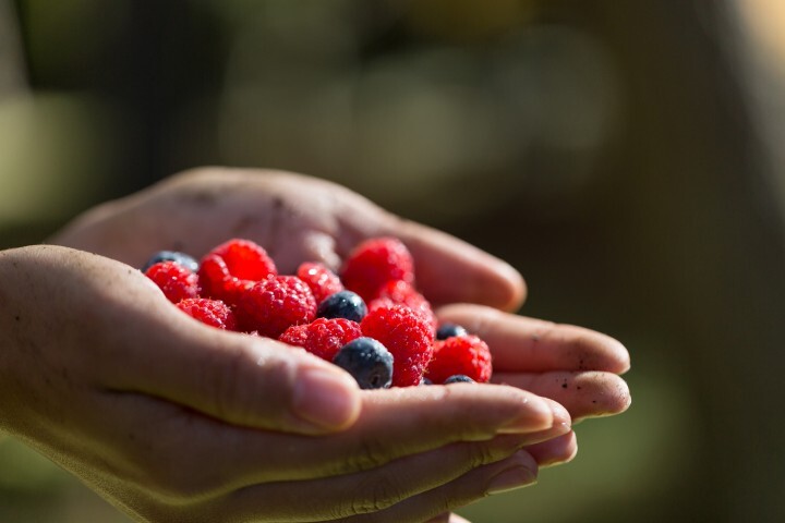 星野リゾートのプレスリリース画像3