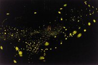 星野リゾートのプレスリリース画像3