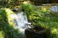 星野リゾートのプレスリリース画像4