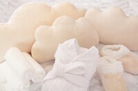 星野リゾートのプレスリリース画像3