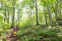 星野リゾートのプレスリリース画像1