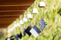 星野リゾートのプレスリリース画像3