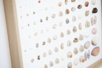 星野リゾートのプレスリリース画像6