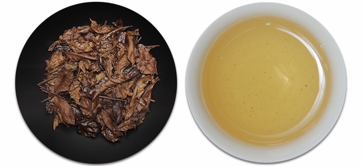 星野リゾートのプレスリリース画像4