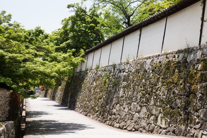 星野リゾートのプレスリリース画像6