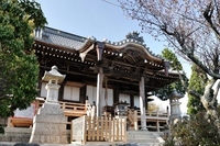 星野リゾートのプレスリリース画像4