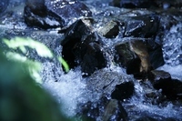 星野リゾートのプレスリリース画像1