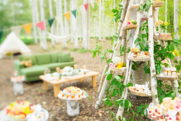 星野リゾートのプレスリリース画像2