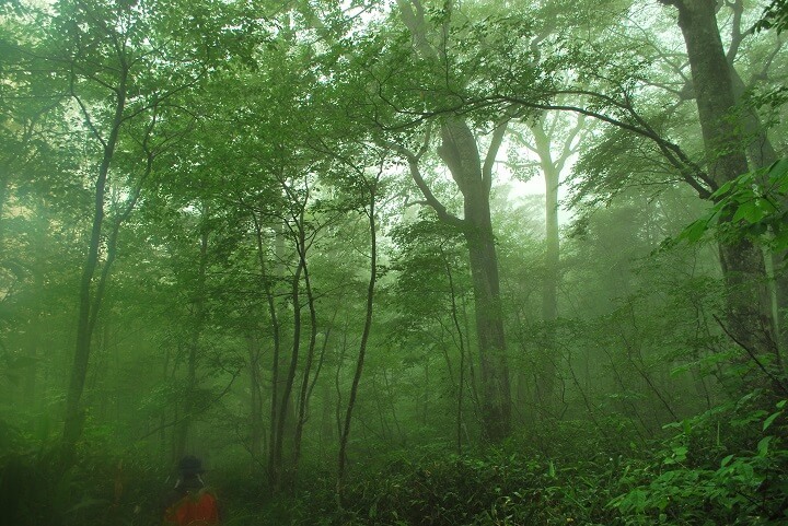 星野リゾートのプレスリリース画像4