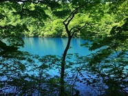 星野リゾートのプレスリリース画像2