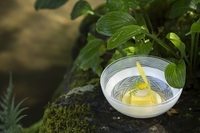 星野リゾートのプレスリリース画像2