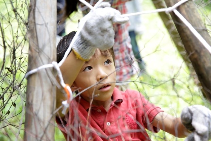 星野リゾートのプレスリリース画像3