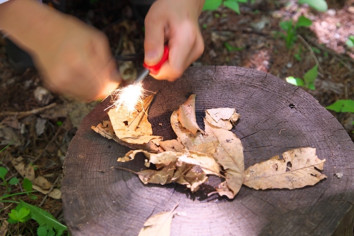 星野リゾートのプレスリリース画像4