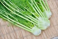 星野リゾートのプレスリリース画像5