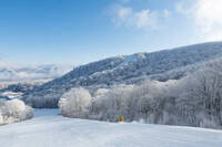 星野リゾートのプレスリリース画像2