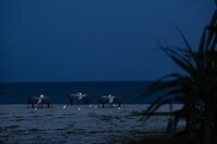 星野リゾートのプレスリリース画像3