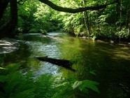 星野リゾートのプレスリリース画像8