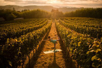 星野リゾートのプレスリリース画像1