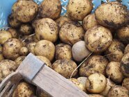 星野リゾートのプレスリリース画像4