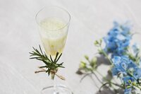 星野リゾートのプレスリリース画像9