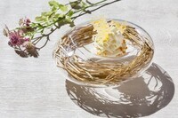 星野リゾートのプレスリリース画像10