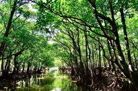 星野リゾートのプレスリリース画像2