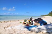 星野リゾートのプレスリリース画像3