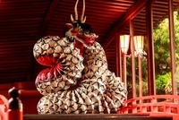 星野リゾートのプレスリリース画像3