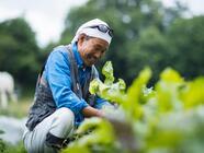 星野リゾートのプレスリリース画像2