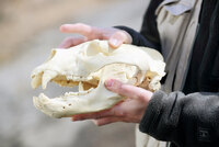 星野リゾートのプレスリリース画像4