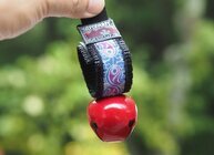 星野リゾートのプレスリリース画像5