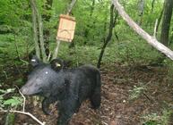 星野リゾートのプレスリリース画像2