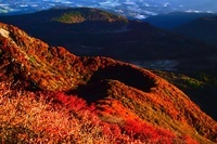 星野リゾートのプレスリリース画像6