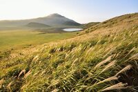 星野リゾートのプレスリリース画像8