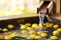 星野リゾートのプレスリリース画像3