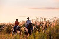 星野リゾートのプレスリリース画像7