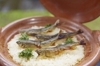 星野リゾートのプレスリリース画像2