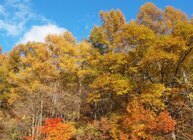 星野リゾートのプレスリリース画像3