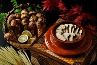 星野リゾートのプレスリリース画像1