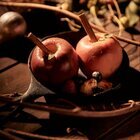 星野リゾートのプレスリリース画像6